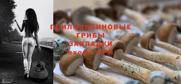 mdpv Богородицк