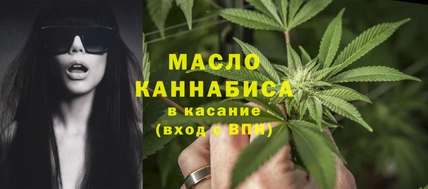 spice Богородск