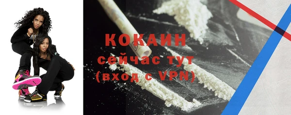 mdpv Богородицк