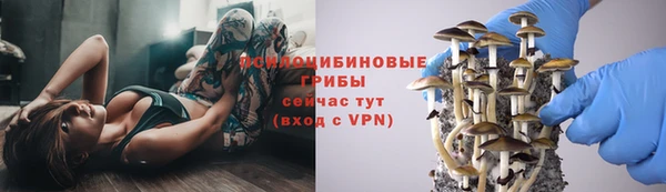 mdpv Богородицк