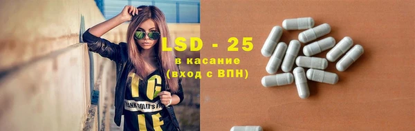 spice Богородск