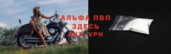spice Богородск
