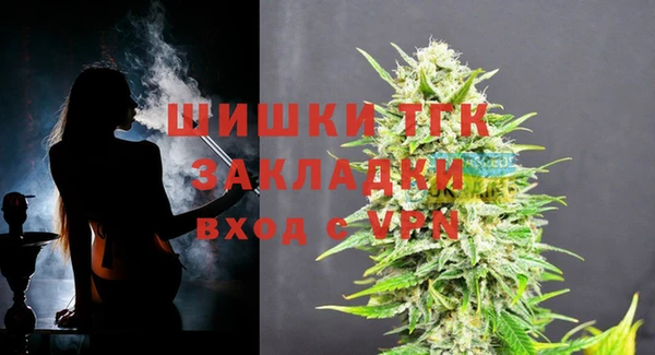 spice Богородск