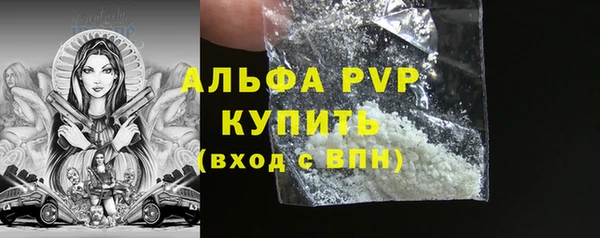 spice Богородск