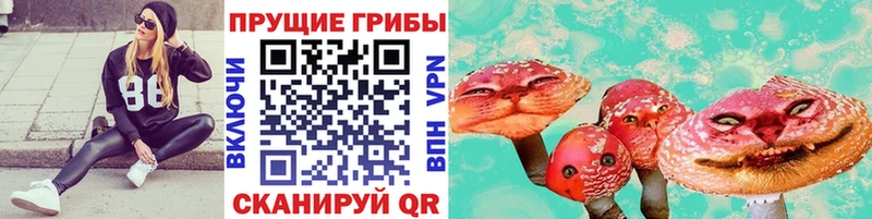 Псилоцибиновые грибы ЛСД  дарк нет клад  Видное 