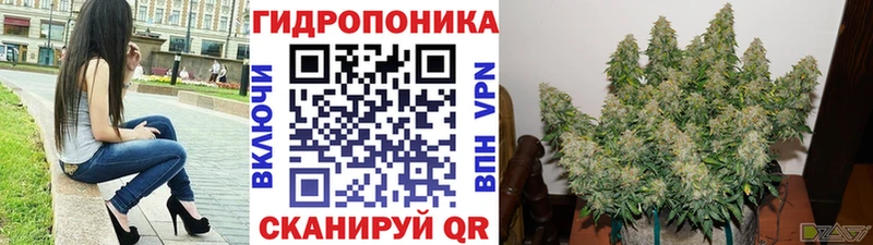 Канабис Bruce Banner  Видное 